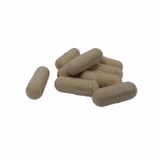 Lion's Mane Pills and Tablets - Best Options