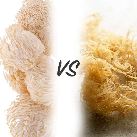 Lion's Mane Mushrooms vs. Sea Moss